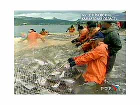 Рыбаки на Камчатке, фото с сайта РТР