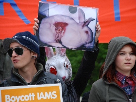 Пикет зоозащитников против опытов на животных. Фото Каспарова.Ru
