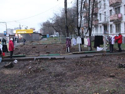 Вырубка у домов на Щелковском шоссе. Фото местных жителей