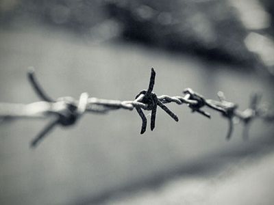 Холокост. Источник - http://www.georgetown.edu/