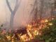 Лесной пожар под Геленджиком. Фото: пресс-служба администрации Геленджика