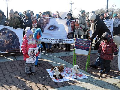 Пикет в Хабаровске против жестокого обращения с животными Фото: http://www.interfax.ru/