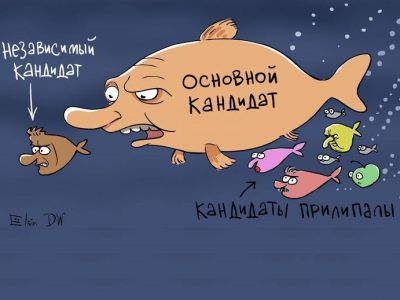 В мире рыб: "выборы"-2018. Карикатура С.Елкина, источники - dw.com, www.facebook.com/sergey.elkin1