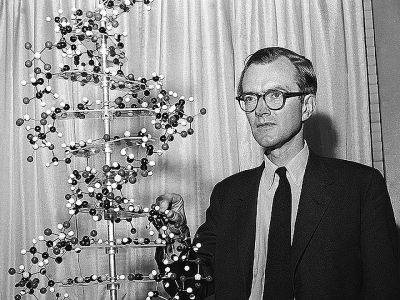 Джеймс Уотсон и модель ДНК (фото 1960-х): len-ol-kat.livejournal.com