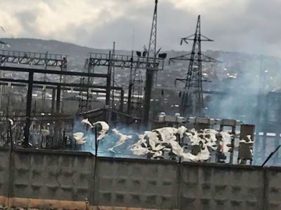 Фото: vk.com / novorosstoday Фото: vk.com / novorosstoday